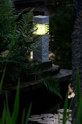 Nepos_3579401_fiilis